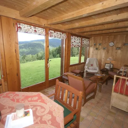 Lovely Holiday With In Fresse-sur-moselle With Barbecue * Saint-Maurice-sur-Moselle