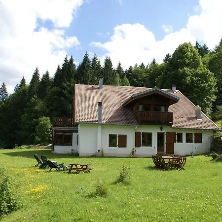Lovely Holiday With In Fresse-sur-moselle With Barbecue Saint-Maurice-sur-Moselle